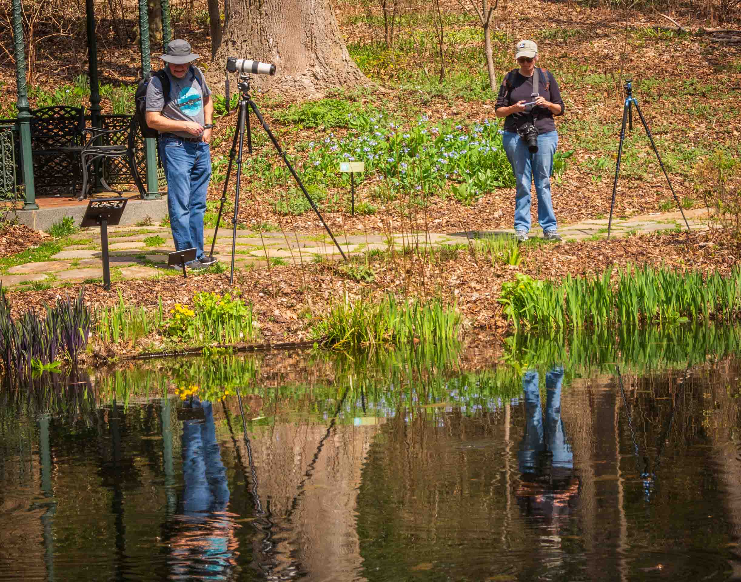 Yrs_2020-2024_CCC_IMG_006841_ - Bill Crnkovich and Linda Rosenbluth at Landscape SIG outing at Mt Cuba.  April 2023.jpg